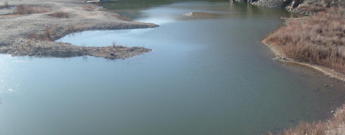 Long Gulch Pond