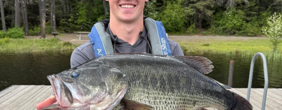 Moose Creek Bass