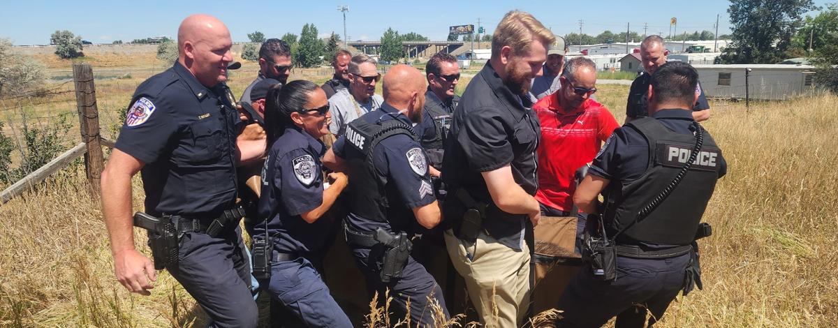 A group of people carrying a yearling moose through vegetation.