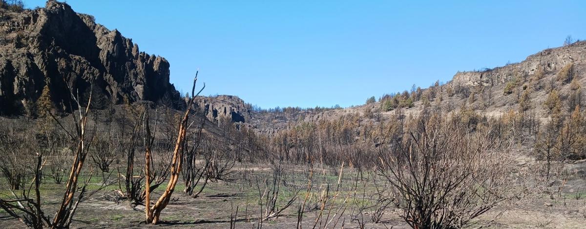 North Fork Campground in the Owyhees