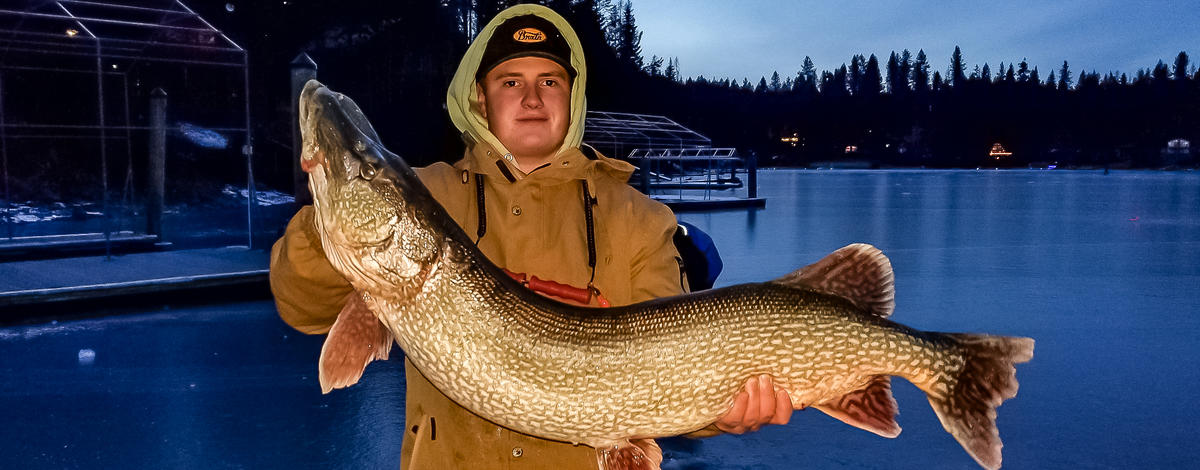 Northern Pike Hayden Lake_Nunemacher