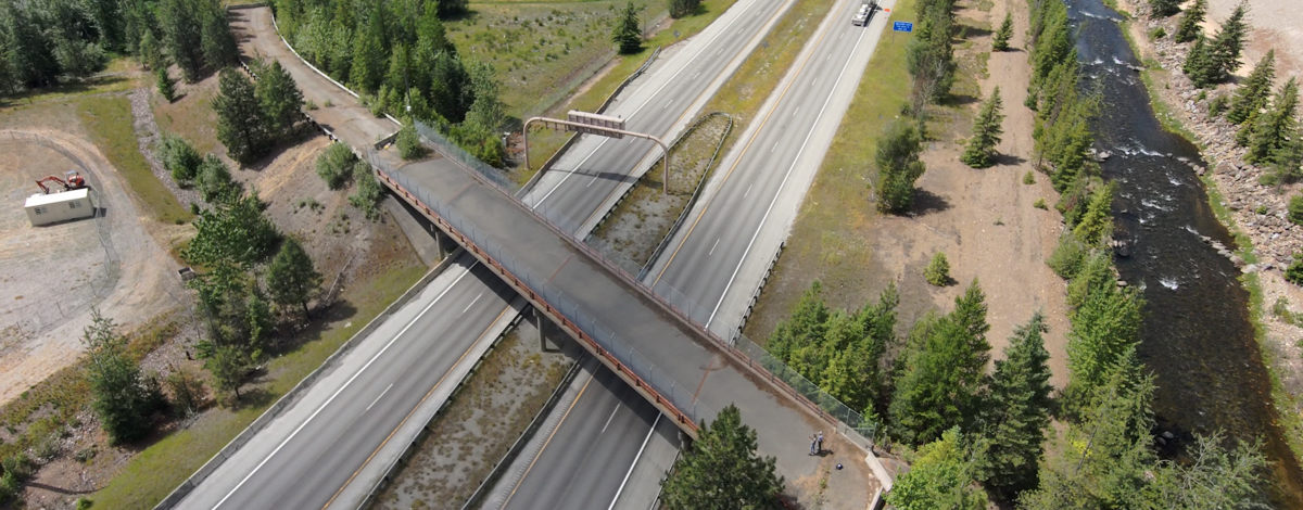 Osburn wildlife overpass