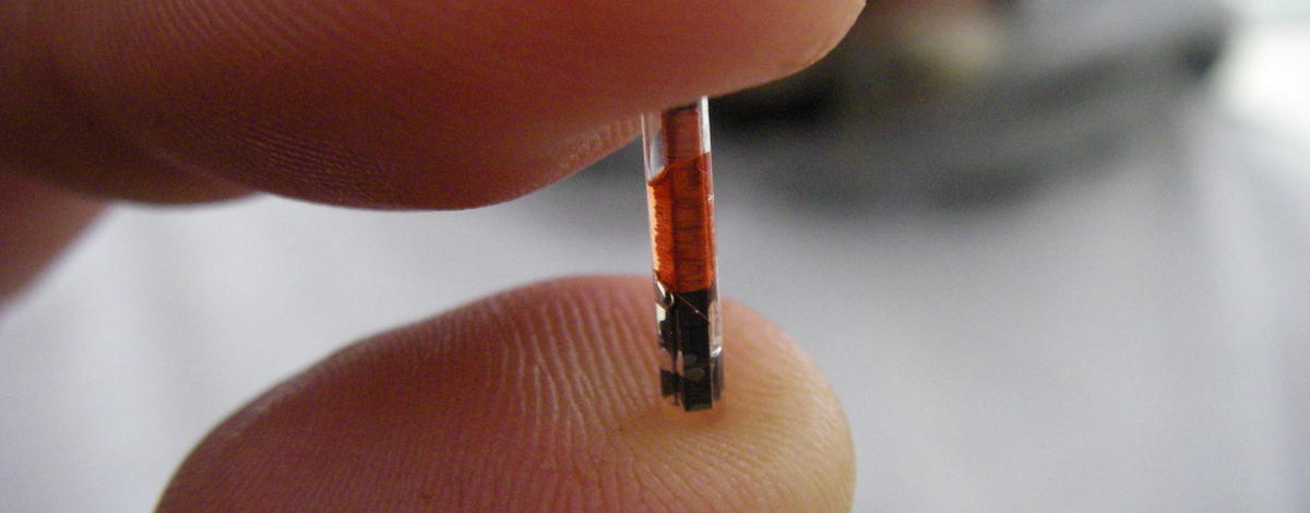 Fish PIT tag 2007 - passive integrated transponder