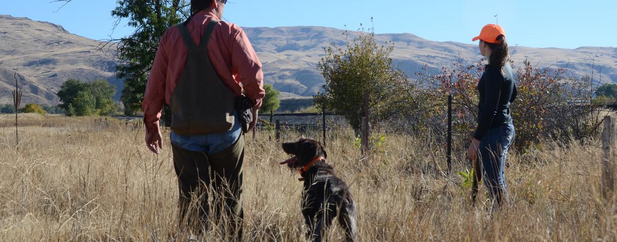 pheasant hunters