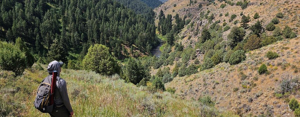 Technician looking down into Badger Creek