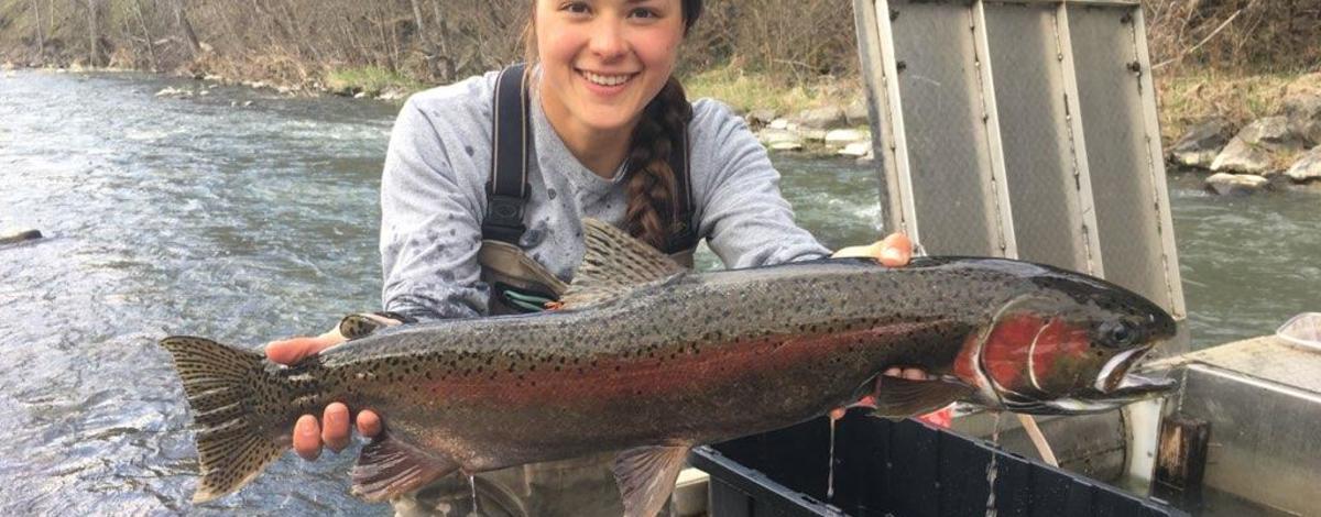 Steelhead Kelt_Potlatch River_Study fish