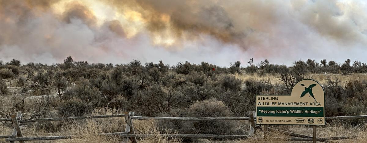 Smoke rises above sagebrush landscape during a prescribed fire.  Sterling WMA sign in foregroud.