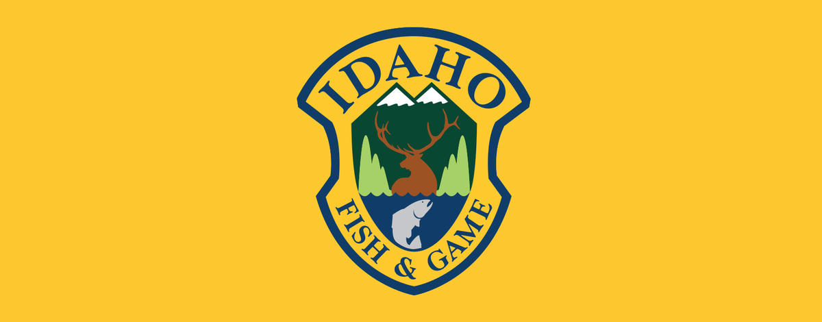 gold IDFG press release banner