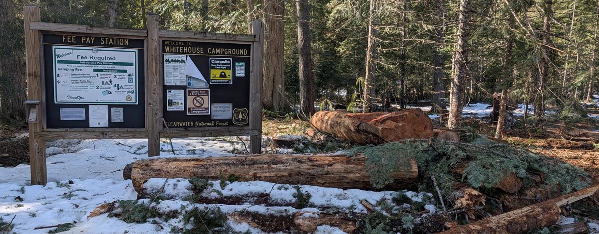 Campground cleanup