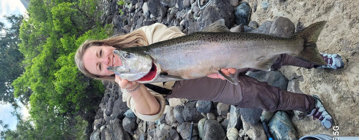 Salmon River Chinook