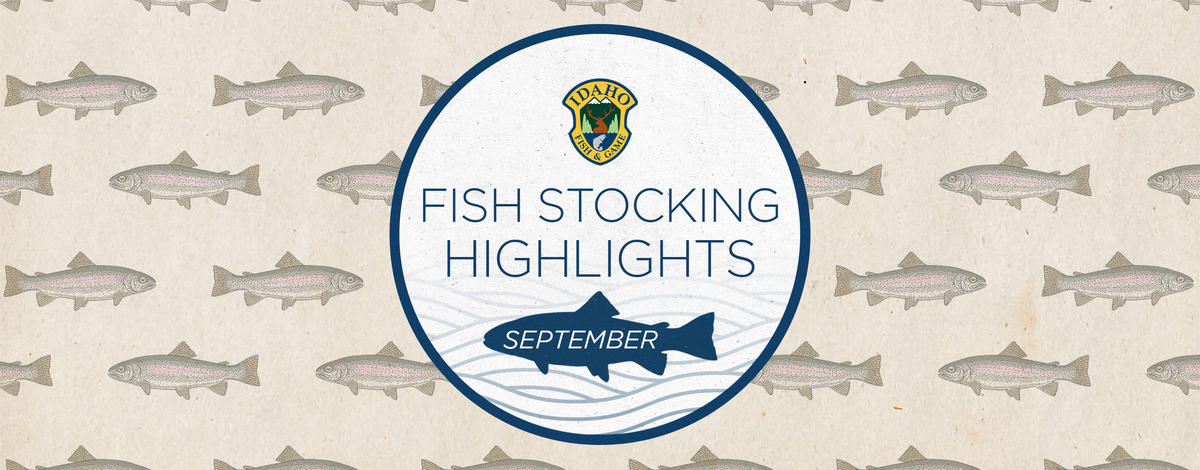 Statewide trout stocking highlights for September 2023