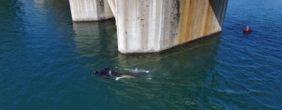 Spearfishing for walleye on Lake Pend Oreille
