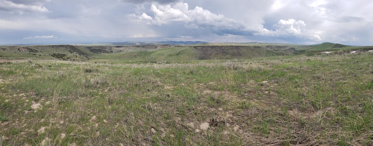 Scenic vista of Tex Creek WMA