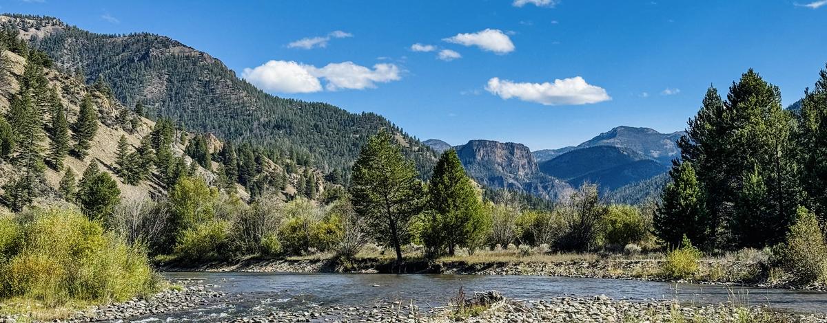 View of Castle Mountain from Camas Creek