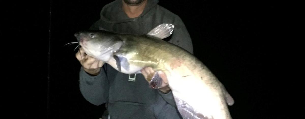 Boise angler breaks catch-and-release record for catfish