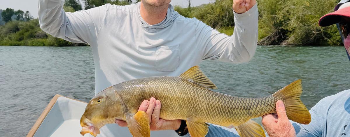 Utah Sucker - record catch