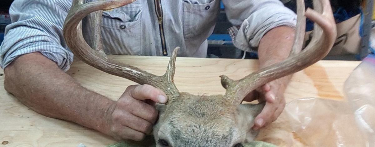 Carl VanLoon with the confiscated deer from original contact from officer.