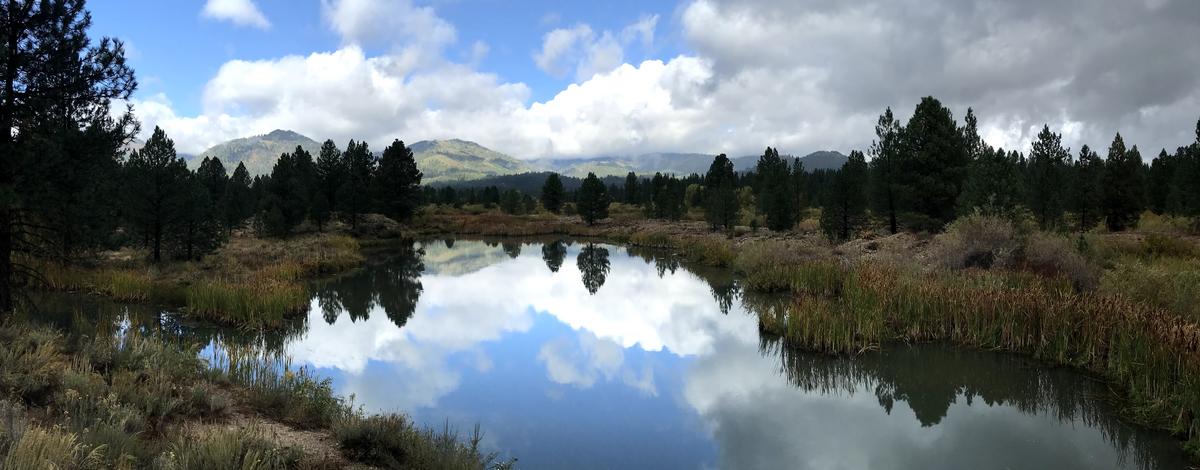 Wildlife Habitat Area