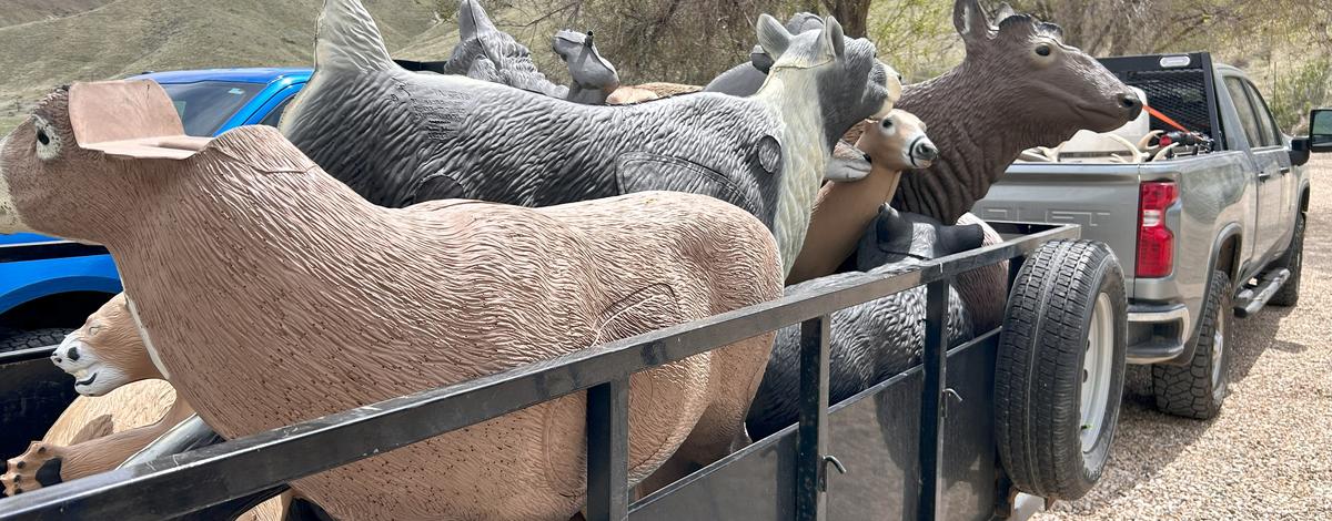 Boise River WMA 3D targets