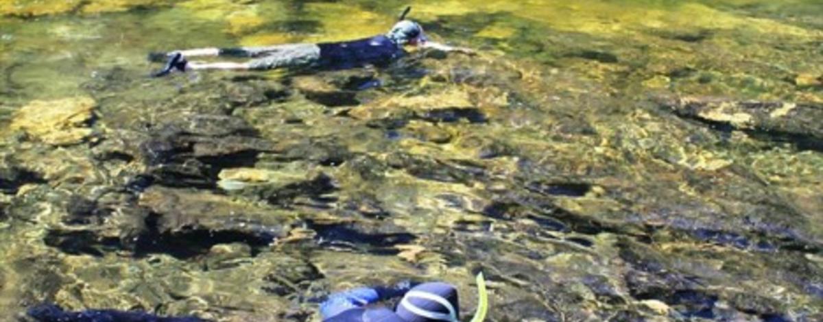 snorkel survey, Moose creek on Selway, photo by Mike Demick 