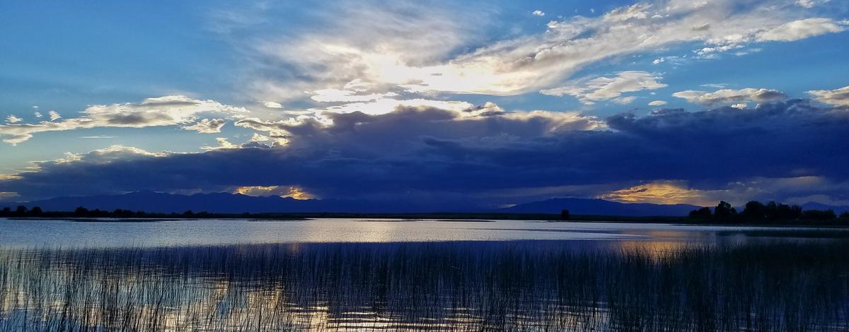 Mud Lake WMA