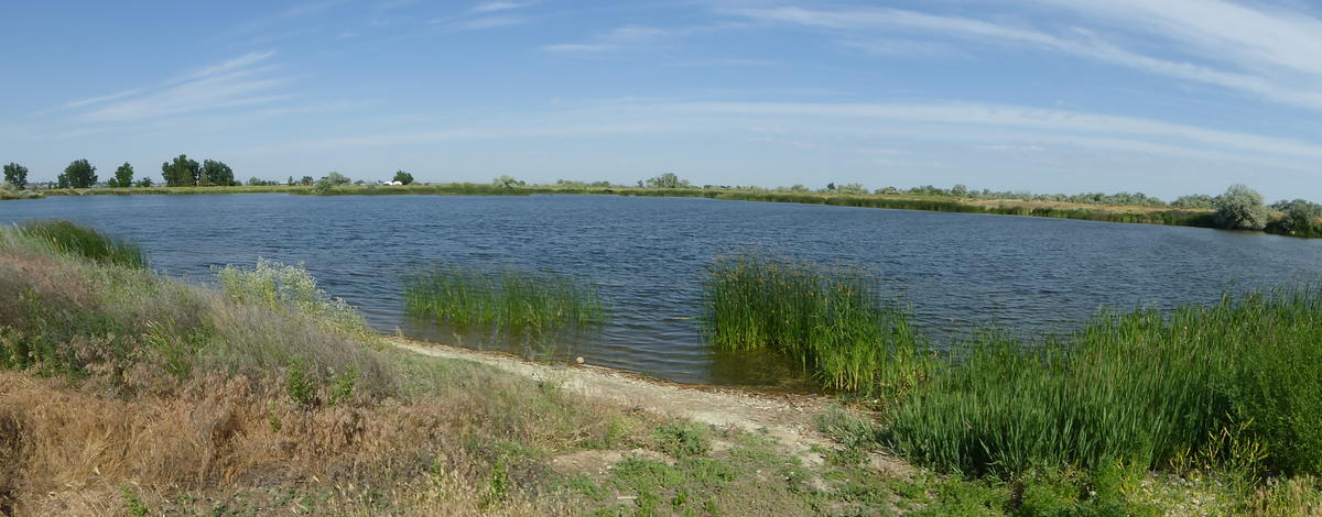 Redtop Pond 