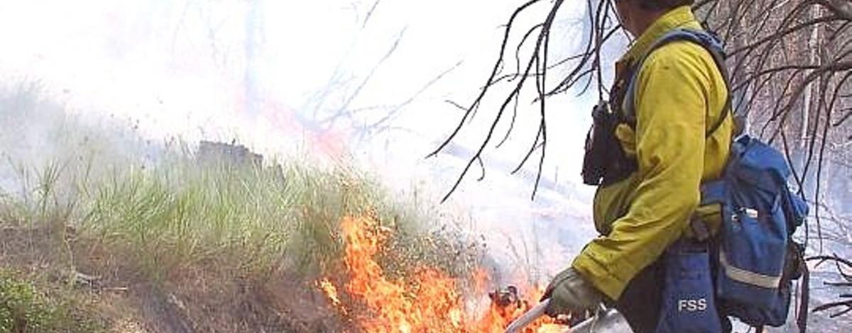 firefighter working on a controlled prescribed burn 