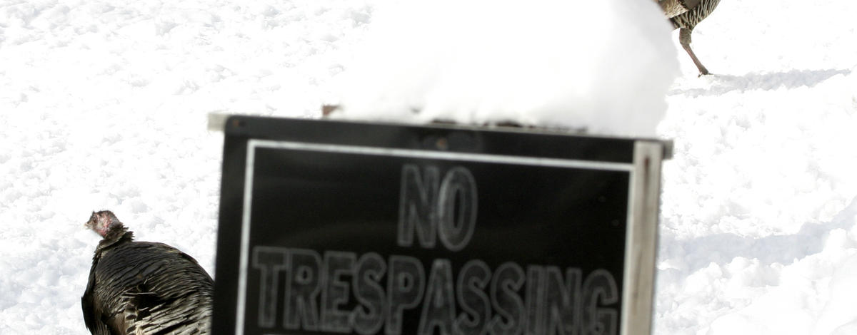 turkey and no trespassing sign February 2008