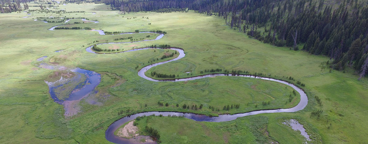 Red River WMA aerial