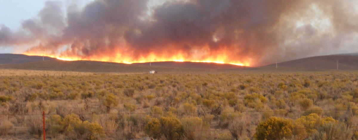 wide shot of the Rogerson fire September 29 2008