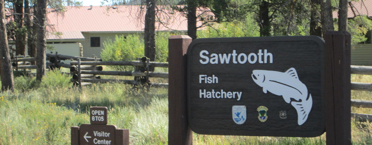 Sawtooth Fish Hatchery signs medium shot July 2015