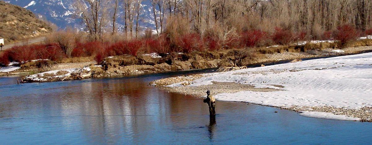 medium shot of an angler fishing on the South Fork of the Snake river in the Winter with snow on the river bank