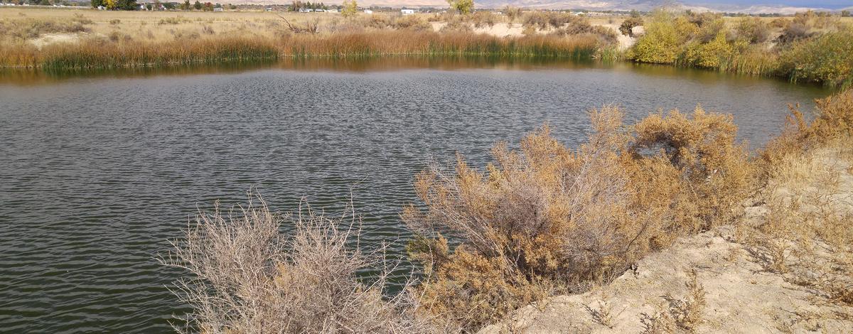 fishing access Star Lane Pond medium shot October 2016