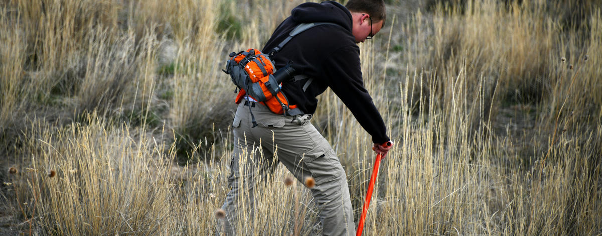 volunteer_planting_sagebrush_at_walker_res_march_2020