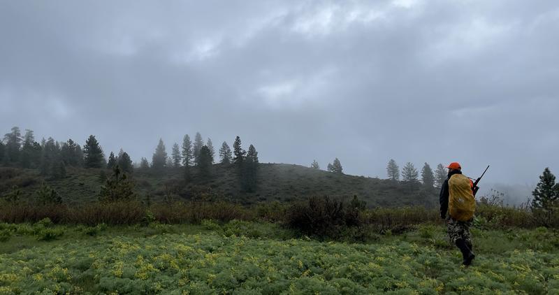 big_game_hunter_with_rifle_hiking_in_wet_weather_1699