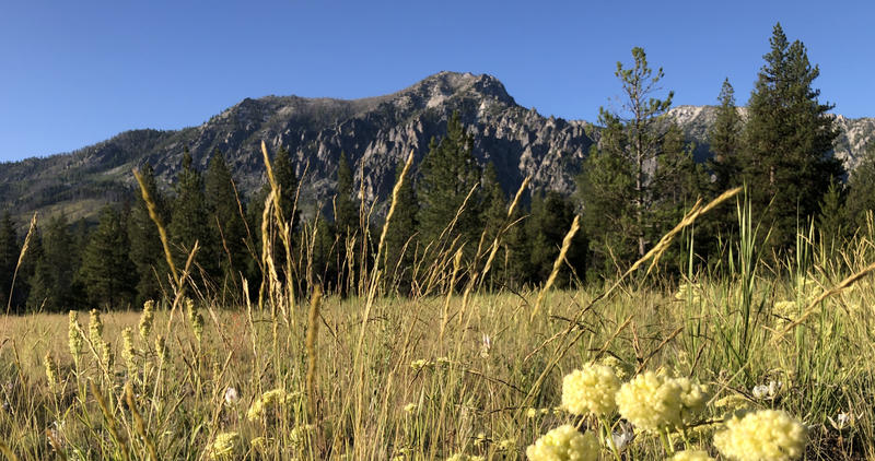 facebook_cover_photo_2020-07