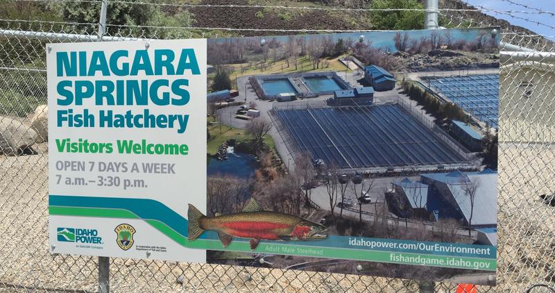 Niagara Springs Fish Hatchery informational sign June 2015