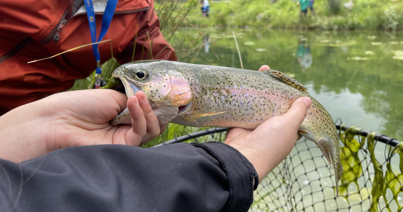 Stocked rainbow trout caught in the Panhandle Region on Free Fishing Day.