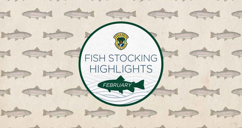 2024_FEB_MonthlyFishStocking