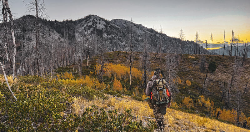 big game hunter walking along ridge 2025