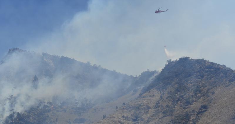 wildfire_201_a.jpeg