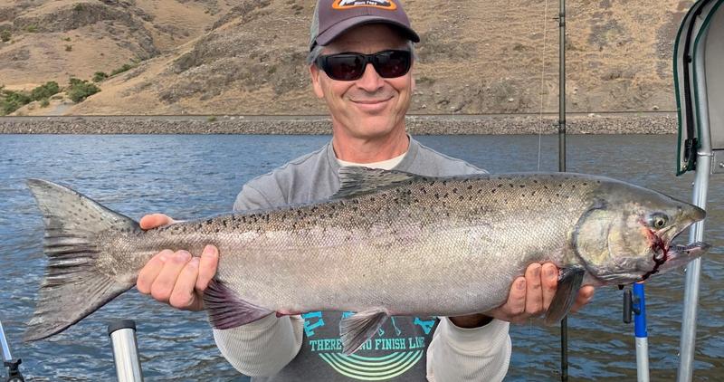 fall chinook