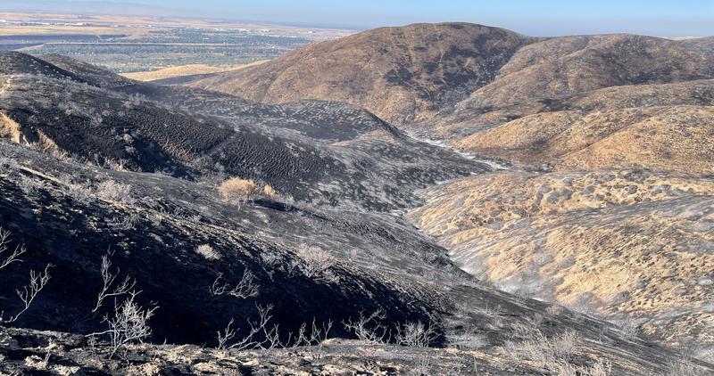 The view from the Boise River WMA archery range, looking back toward the City of Boise following the Valley Fire