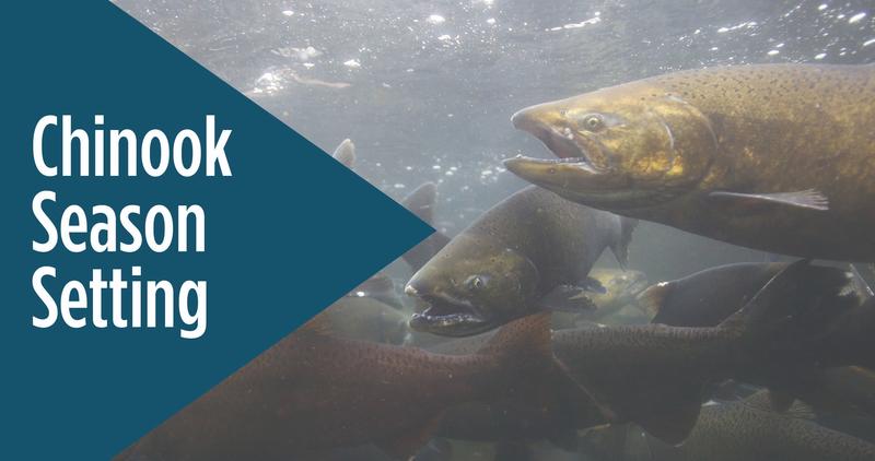 chinook season setting banner