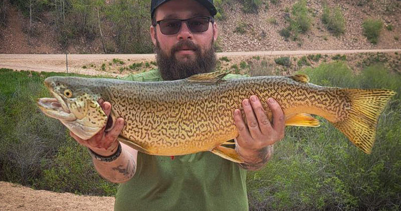 Austin Christensen with record tiger trout, Montpelier Reservoir