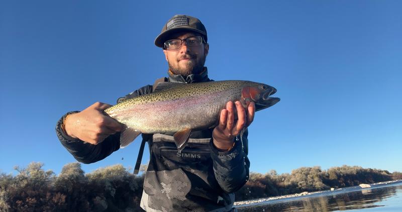 Man holds a large rainbow trout with a blue sky in the background