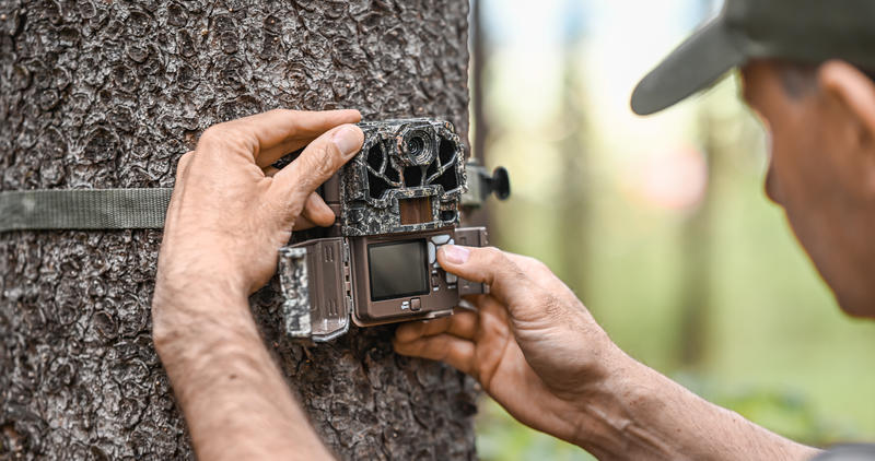 hunter hanging trail camera