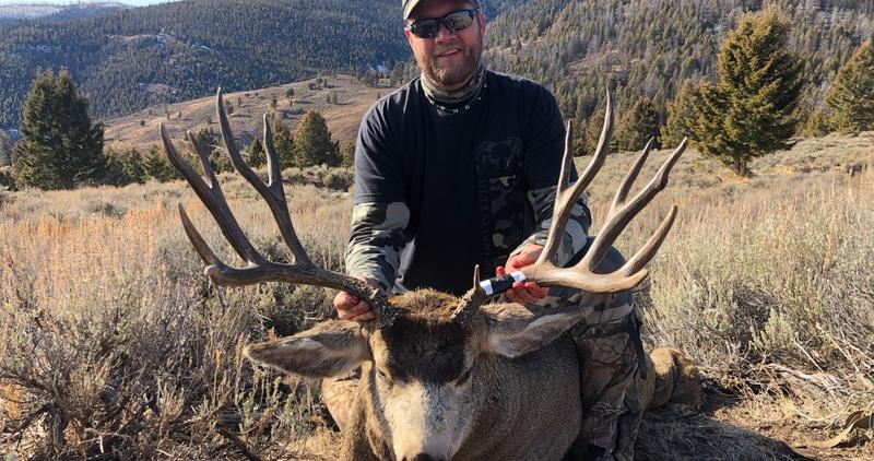 SH Combo Mule Deer 2019 Chase Ashcroft.jpg