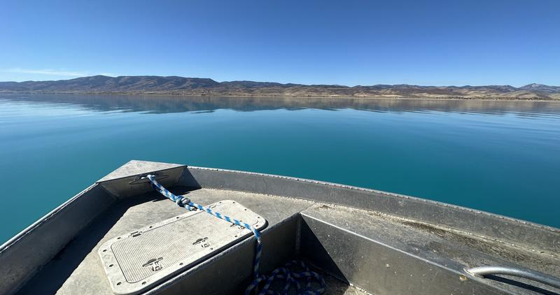 The bow of a jet boat projecting out onto a serene turquoise blue lake with distant mountains shown in the background.  A cloudless blue sky is shown above.