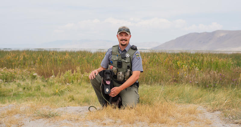 a black dog sits with its male owner/handler in a light green field